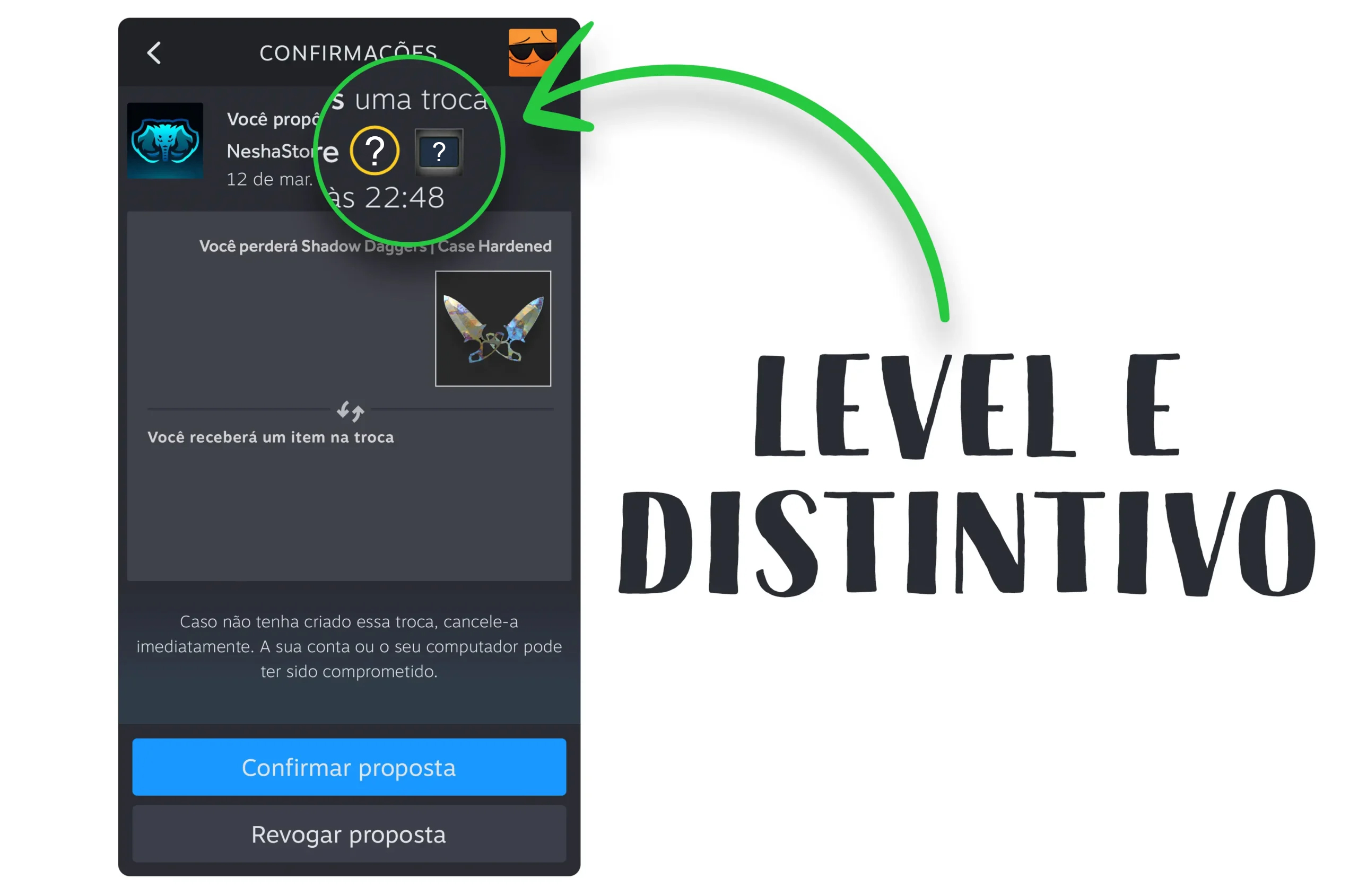 Nível e distintivo do Steam na confirmação de troca.